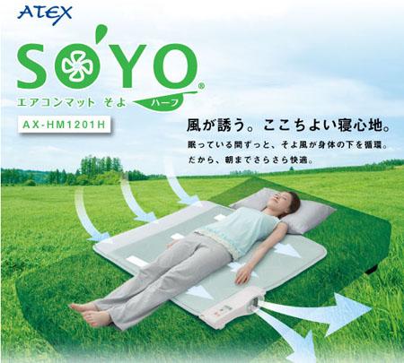 110715soyosite.jpg