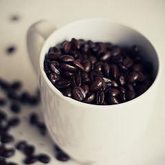 111115coffee01.jpg