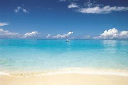 120208beach.jpg