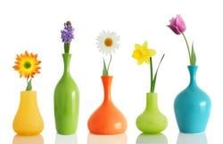 120316flower.jpg