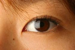 120423eye01.jpg