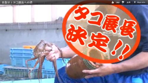 120627tako01.jpg