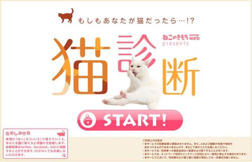 120606nekosinndan.jpg