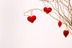 120804love.jpg