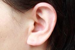 120815ear.jpg
