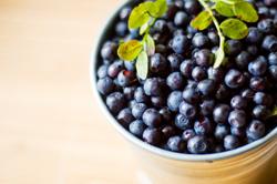 120808blue.jpg