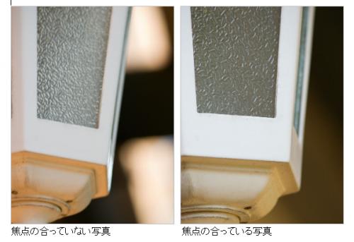 シャキっとした写真を撮る意識を持つ! より焦点の合った写真を撮るコツ。【カメラ生活】