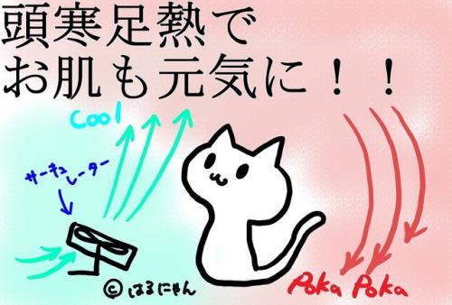 「頭寒足熱」で冬でもつやつやお肌!【ゴスロリ社長はるにゃんのエステの裏技】