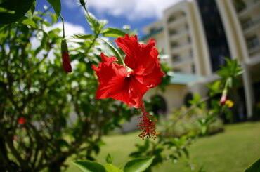 121214_telecom_guam