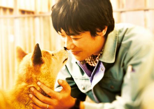 信じる想いが愛をつなぐ。堺雅人主演、映画『ひまわりと子犬の7日間』試写会に15組30名様をご招待