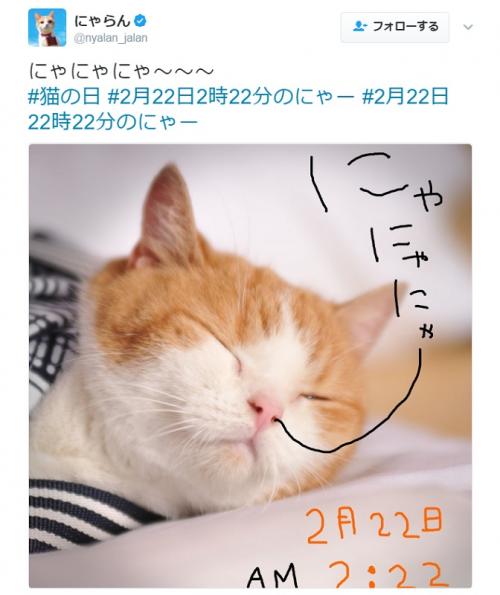 【猫の日】“にゃらん”今年の「にゃー」はもう拝んだ？　キュートな“にゃら弁”レシピも公開中