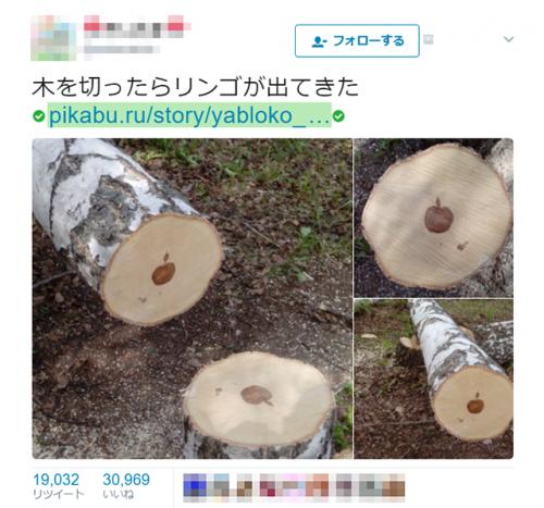 白樺を切ってみると“りんご”マークが！　「これはスゴい」「アップルは木を作るようになったのか」