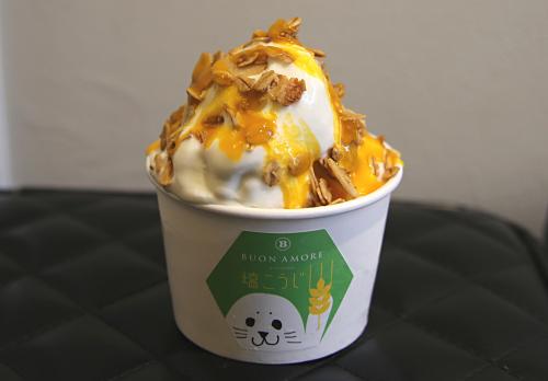 【アイス】“甘じょっぱさ”がクセになる！　「塩こうじジェラート」を食べてみた