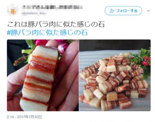 ハッシュタグ「#豚バラ肉に似た感じの石」が食欲と知識欲を刺激する