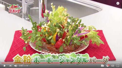 【衝撃】もこみち流も太刀打ち不可能　ハンバーグに野菜を茂らせ金粉をまぶす平野レミさん
