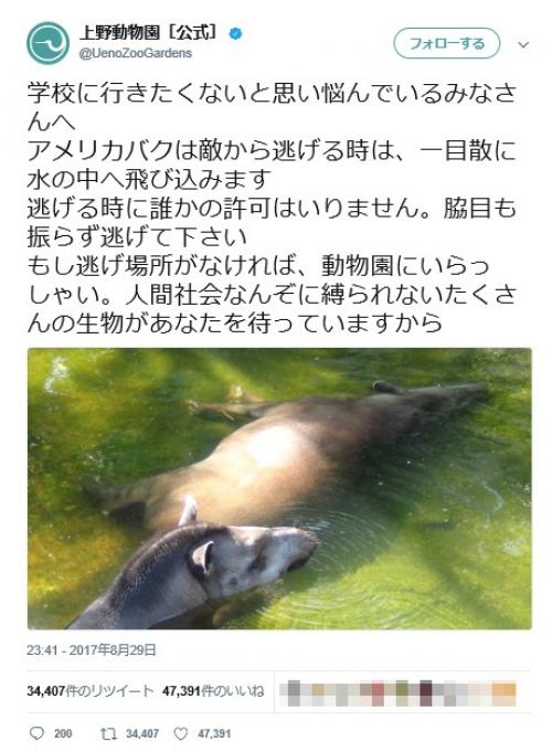 学校に行きたくない人は「脇目も振らず逃げて下さい」　上野動物園の思いやりあるツイートに「救われた」「 涙があふれてきた」の声