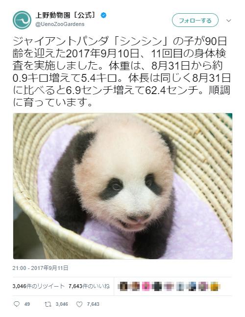 【可愛い】上野動物園の赤ちゃんパンダがすくすく育つ　「名前が楽しみ」「早く赤ちゃんパンダに会いた～い!!」とネットの声