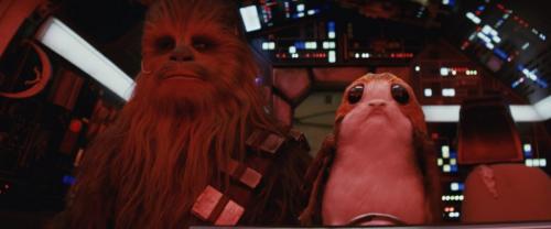 『スター・ウォーズ』の新キャラ“ポーグ”は空が飛べるらしい　雌雄の見分け方も判明