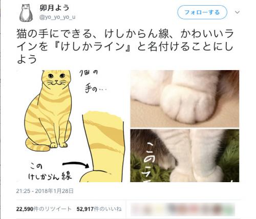 猫の手にできるかわいい線を『けしかライン』と命名！　Twitterで猫好きが賛同の嵐