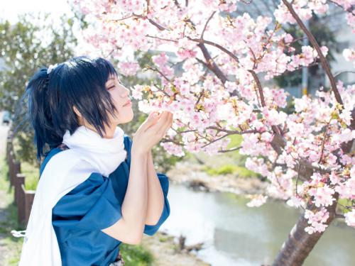 こちら桜前線「松戸 河津桜フェス」　一足早くコスプレイヤーの桜撮影写真をお届け！
