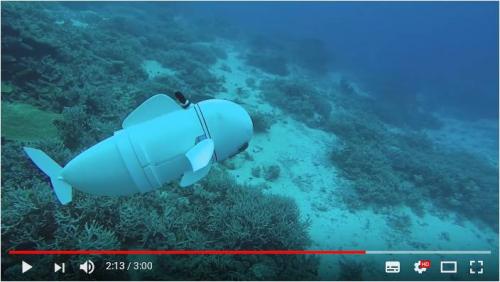 忍者の隠れ身の術ばりに擬態する魚ロボット『Sofi』　マサチューセッツ工科大学が動画を公開
