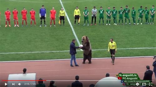ロシアサッカーの始球式にヒグマが登場　ただしリードは着けていない