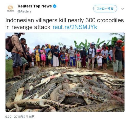 ワニよりコワイのはやっぱり人間　インドネシアでワニの大量虐殺