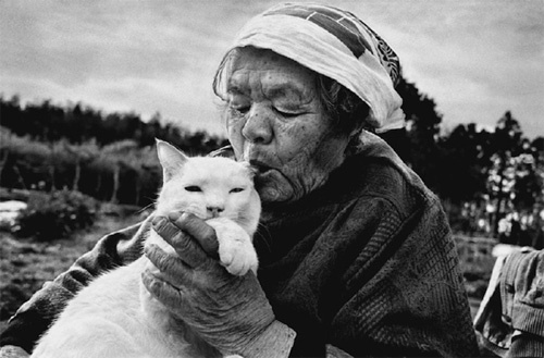 おばあちゃんと猫の愛らしいストーリー。心温まる、みさおとふくまる ? Grandmother and Her Cat -