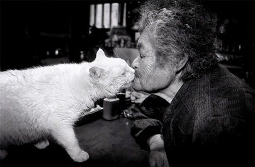 おばあちゃんと猫の愛らしいストーリー。心温まる、みさおとふくまる ? Grandmother and Her Cat -