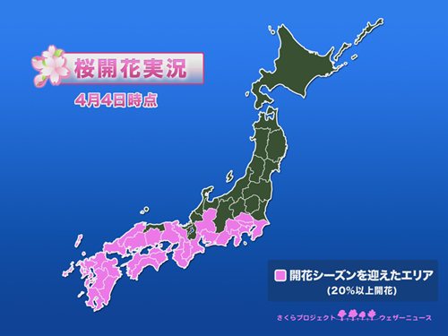 ウェザーニュース　桜開花実況（4月4日）
