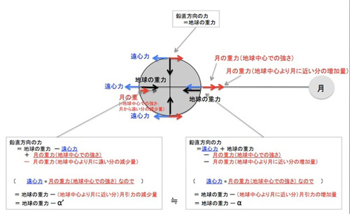 「月に引かれてる」のに「反対側も盛り上がる」のはなんで？