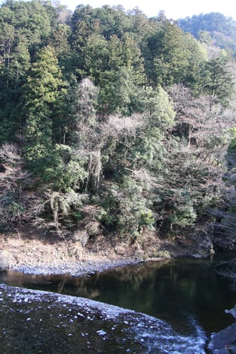 開放感のある風景