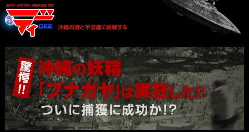 驚愕!! 沖縄の妖精「ブナガヤ」は実在した!! ついに捕獲に成功か！？ - ディー 沖縄の謎と不思議に挑戦する_s