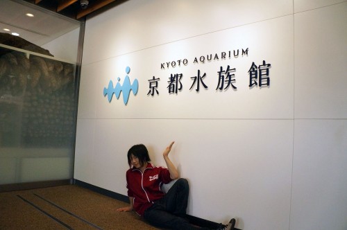 オオサンショウウオのミルフィーユと神の手を持つ男 京都水族館って一体なんだ ガジェット通信 Getnews