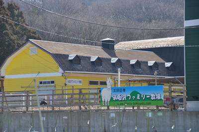 横浜でアルパカに会える！氷取沢ファミリー牧場の様子をレポート