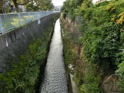 横浜のビブレ前にある南幸橋！　歩道部分が「フワッフワ」な理由は？