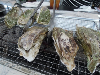 横浜西口から溝の口に移転した「かき小屋」の「かき」60分食べ放題で何個食べ られるか体当たり調査！