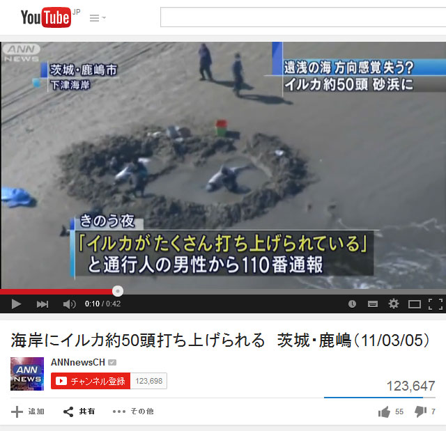 3 11の一週間前にも 茨城県の海岸にイルカが大量に打ち上げられたニュースが話題に ガジェット通信 Getnews