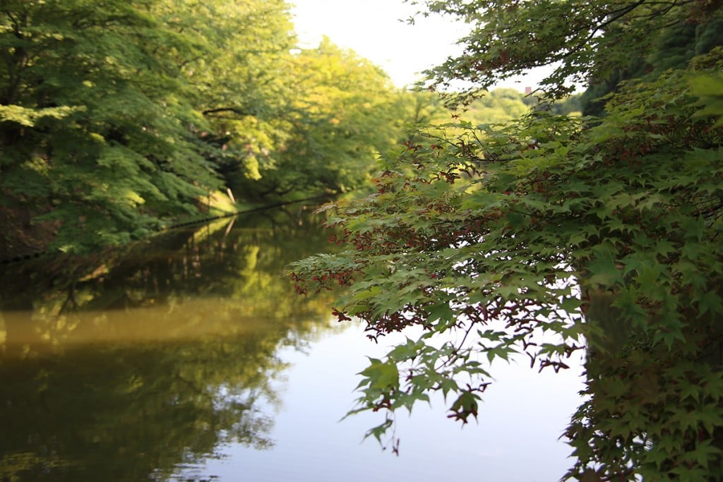 弘前公園濠