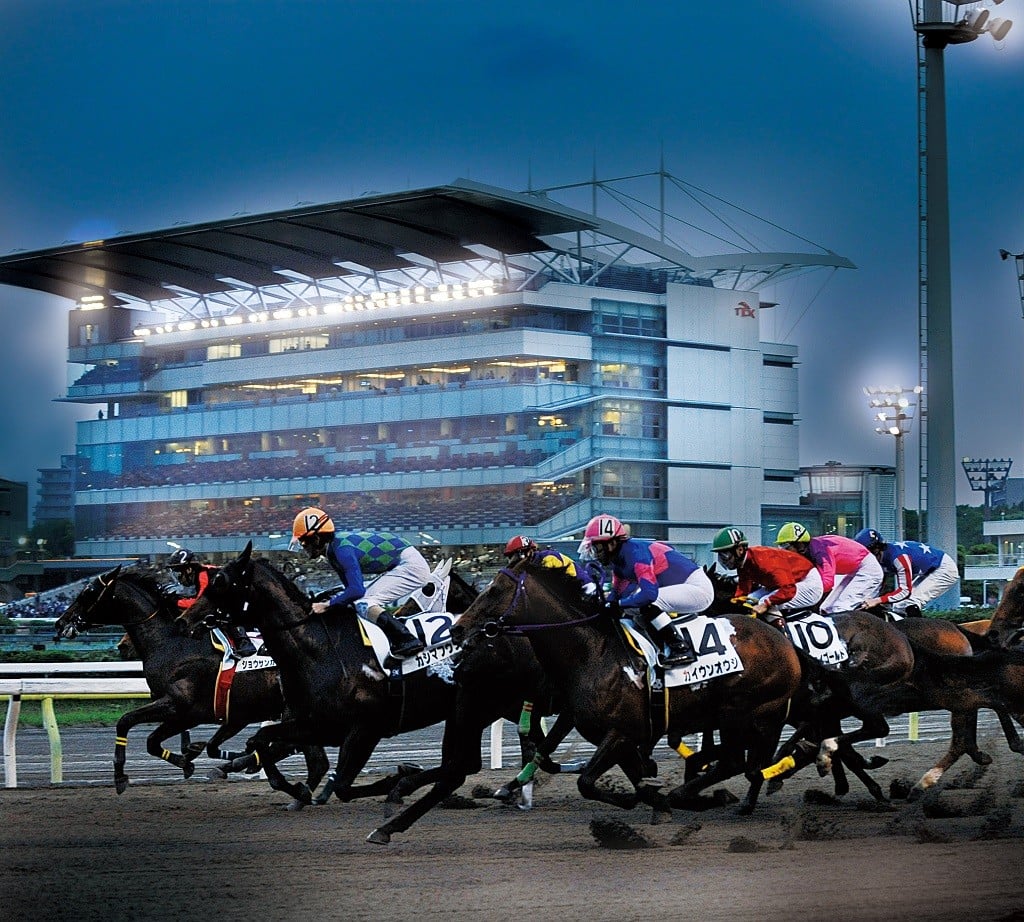 東京シティ競馬