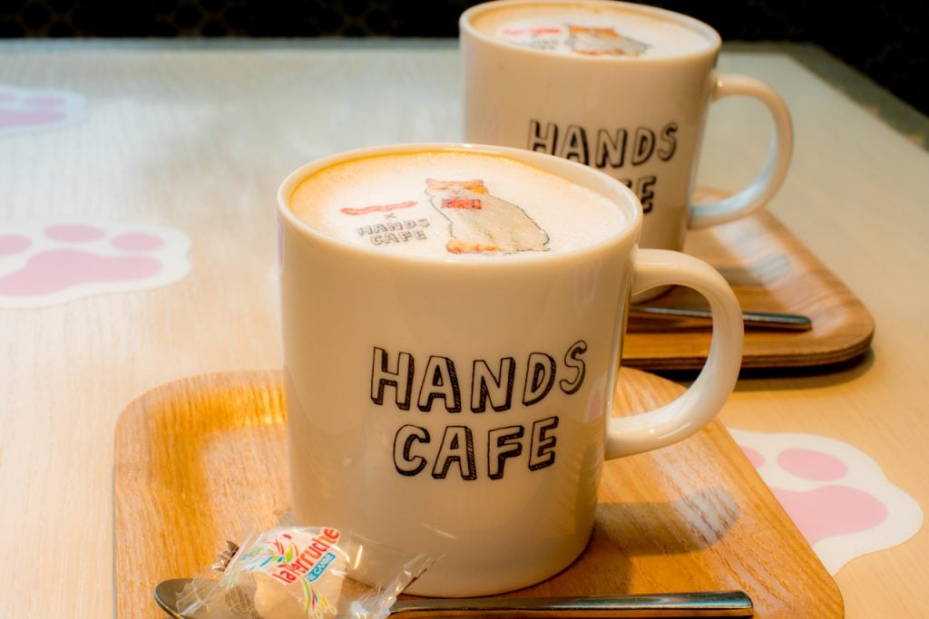 handscafe-4