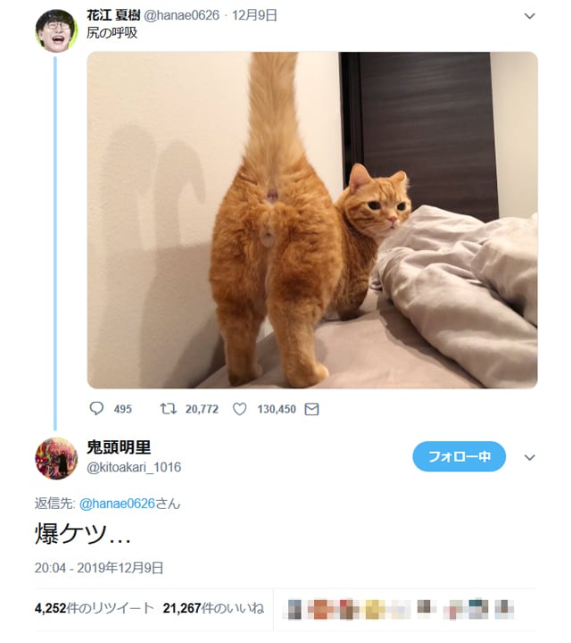 鬼滅の刃 でおなじみの声優 花江夏樹さんが猫の画像に 尻の呼吸 とツイート 鬼頭明里さんが 爆ケツ と返信し反響 ガジェット通信 Getnews