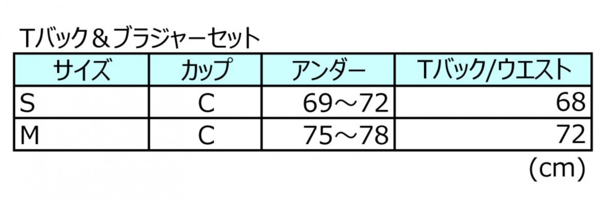 ブラのサイズは小さくてもC・大きくてもC 渋谷すばるライブツアー