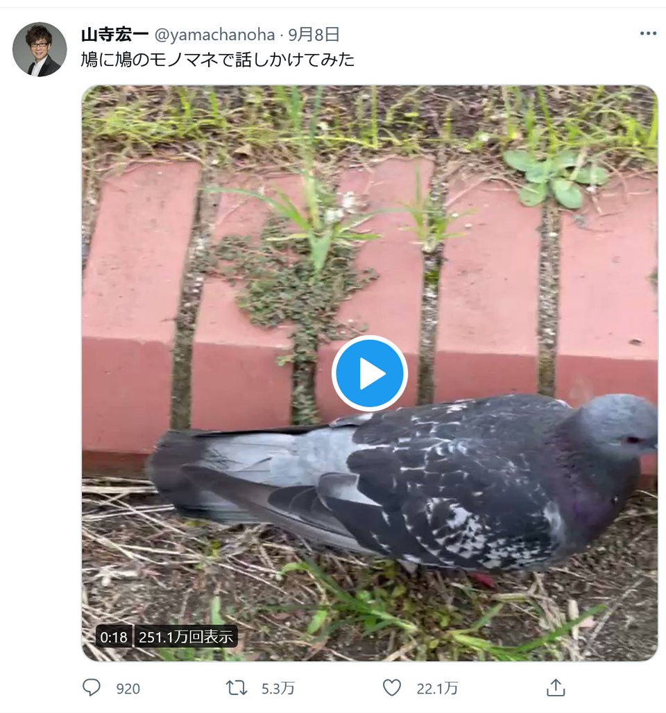 山寺宏一さん 鳩に鳩のモノマネで話しかけてみた 動画をツイートし大反響 超絶クオリティの 鳩マネ に驚きと称賛の声 ガジェット通信 Getnews