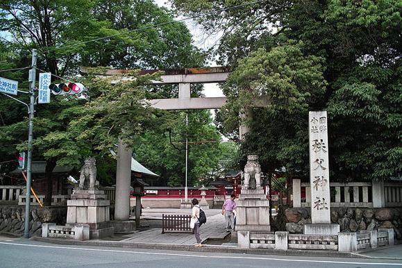 110622chichibujinja.jpg