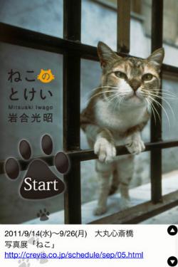 110907neko01.jpg