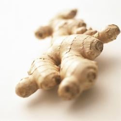 111028ginger01.JPG