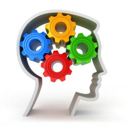 120207brain01.jpg