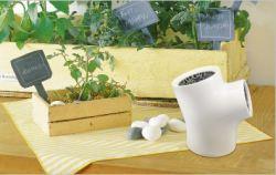 120606aroma.jpg