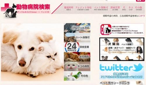 「ペットにも119番を！」　動物病院検索アプリ『アニマルホスピタルnavi』代表インタビュー